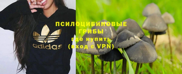 мет Ельня