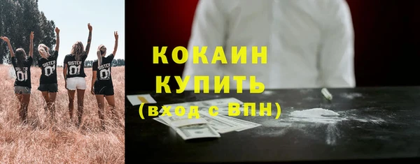 метадон Елизово