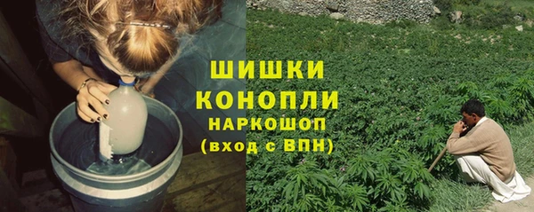 мет Ельня