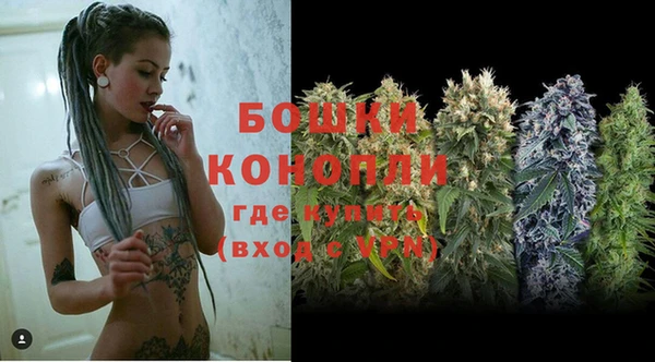 мет Ельня