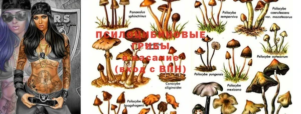 мет Ельня