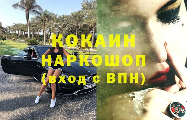 мет Ельня