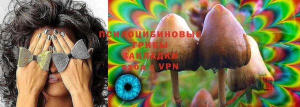 мет Ельня