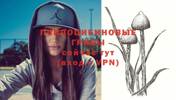 гидра Заводоуковск