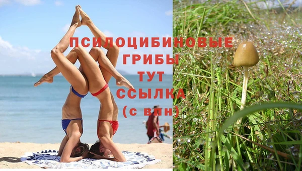 гидра Заводоуковск