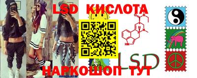 амф Заволжье
