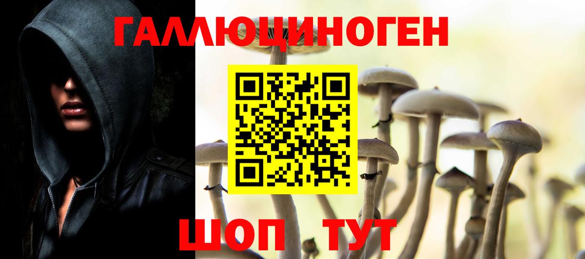 Псилоцибиновые грибы Psilocybine cubensis  Вход с VPN  Галлюциногенные грибы прущие грибы  Новый Уренгой 
